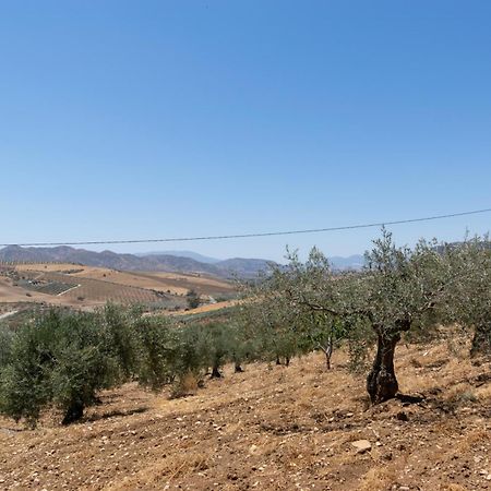 Casa Los Olivos Alora - Caminito Del Rey Ngoại thất bức ảnh