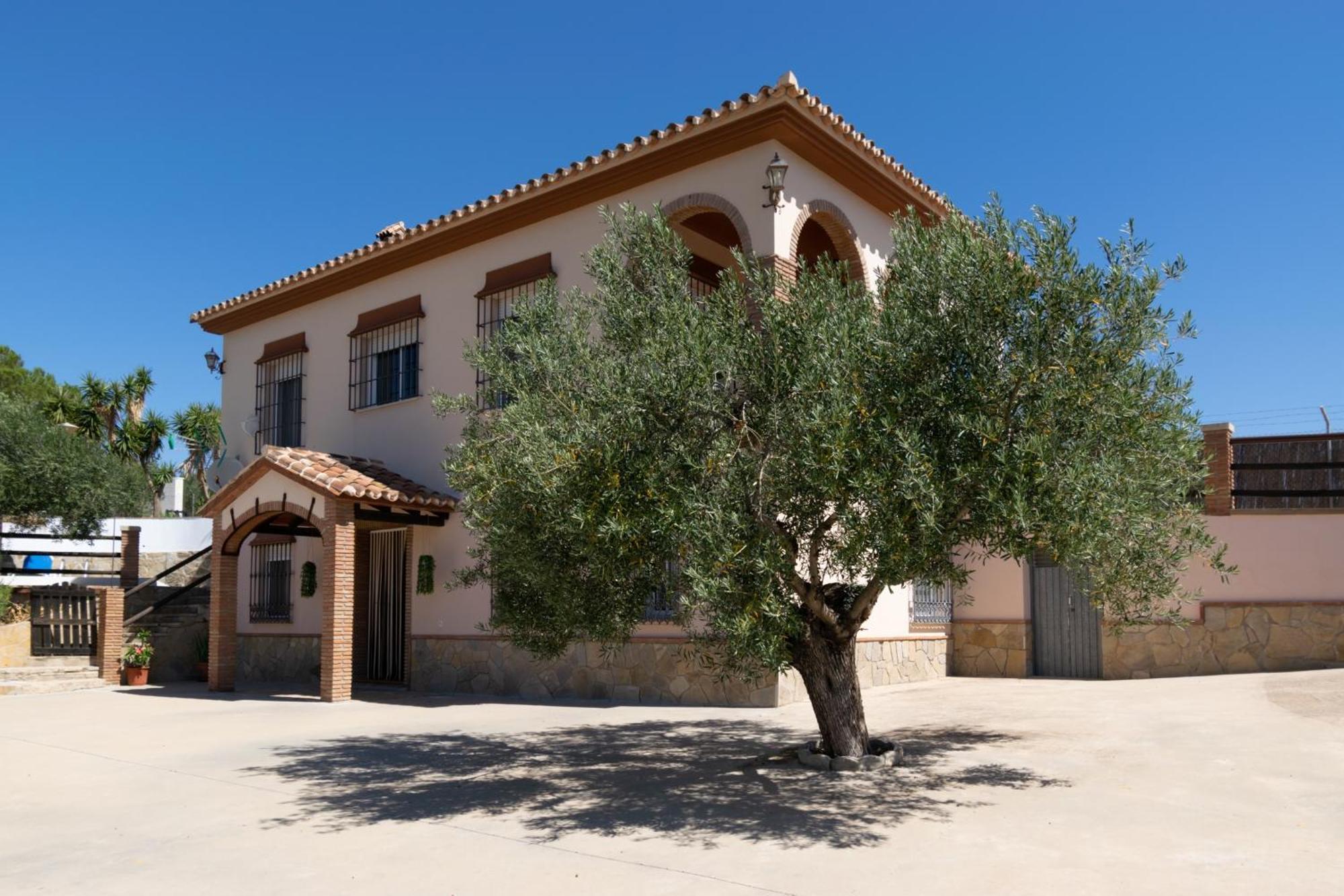 Casa Los Olivos Alora - Caminito Del Rey Ngoại thất bức ảnh