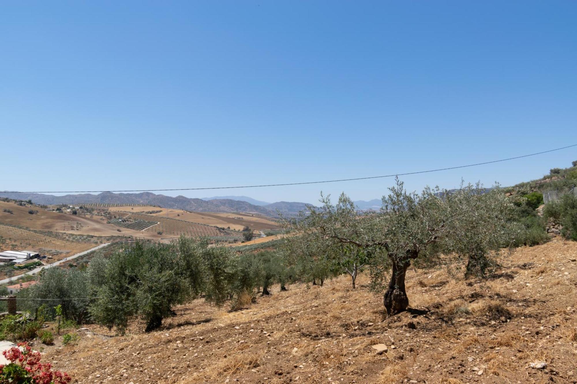 Casa Los Olivos Alora - Caminito Del Rey Ngoại thất bức ảnh