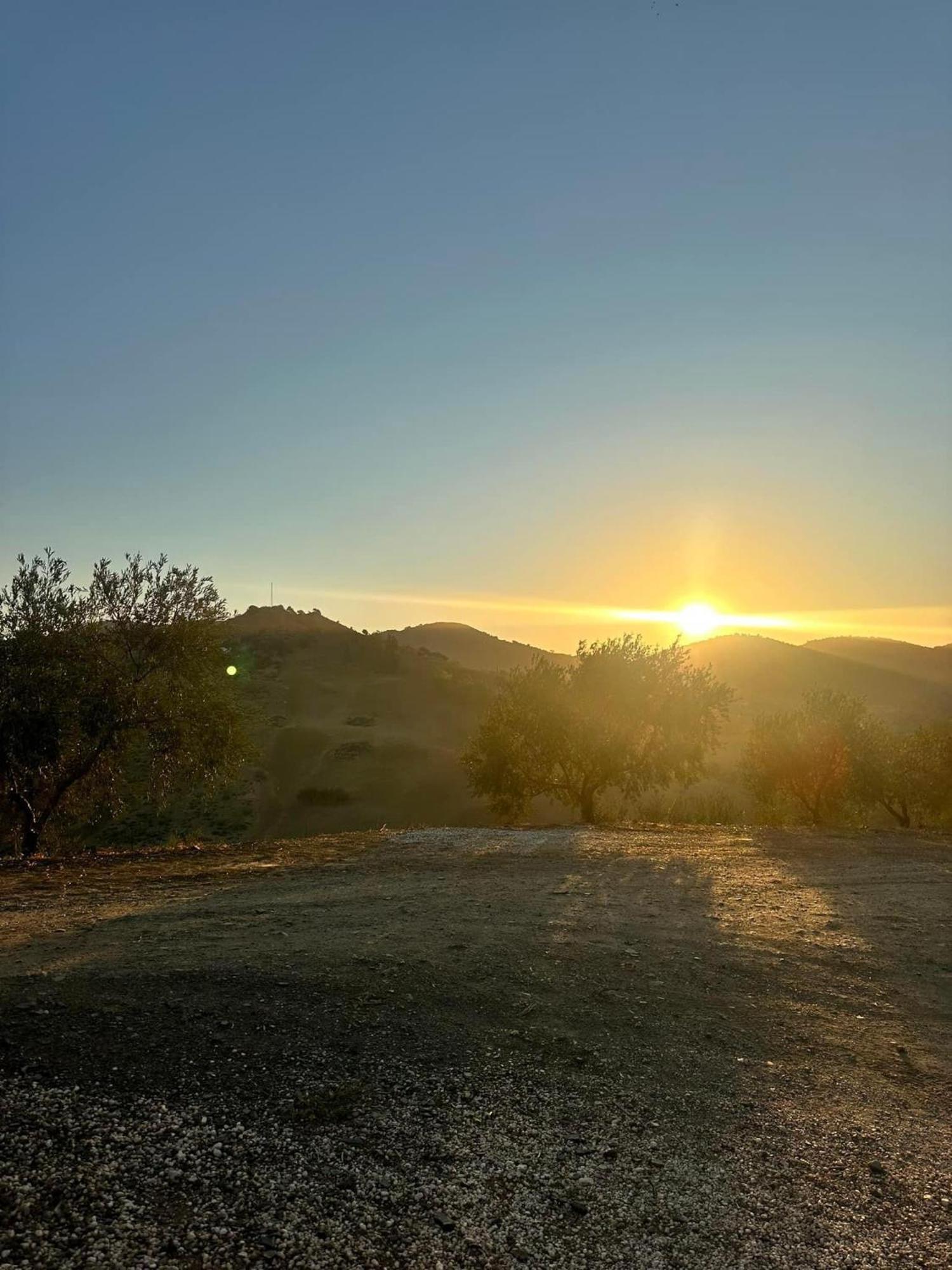 Casa Los Olivos Alora - Caminito Del Rey Ngoại thất bức ảnh
